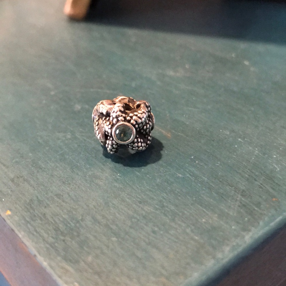 Ocean Pandora Charm⭐️